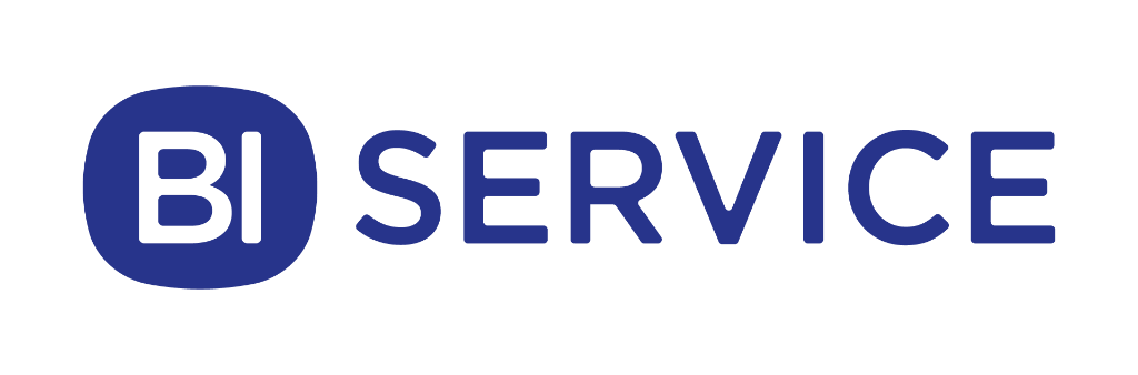 BI Service